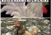 All Hail The Chicken Overlords