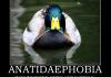 Anatidaephobia