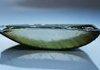 Aloe Vera slice