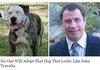 John Travolta Dog