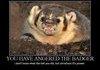 angered-the-badger