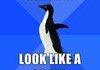Awkward Penguin