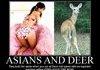 Asians and Deer