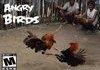 Angry Birds: Mexico