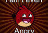 angry bird