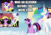 Alicorn