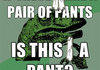 A pant?