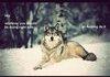 Awesome wolf