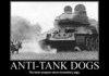 Anti-Tank Dogs