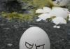 Angry egg