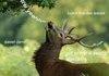Fuckin' deer...