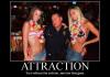Attraction