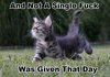 And Not A Single One Was Given That Day