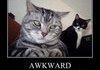 Awkward