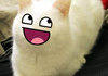 awesome cat