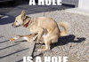 A Hole, is a Hole.