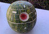 Awesome melon