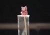 Gummy Bear in Molten Potassium Chlorate