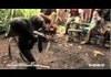 APE with an AK47